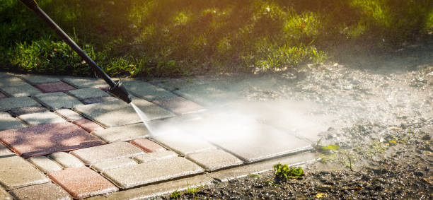 Best Driveway Pressure Washing  in Savannah, TX
